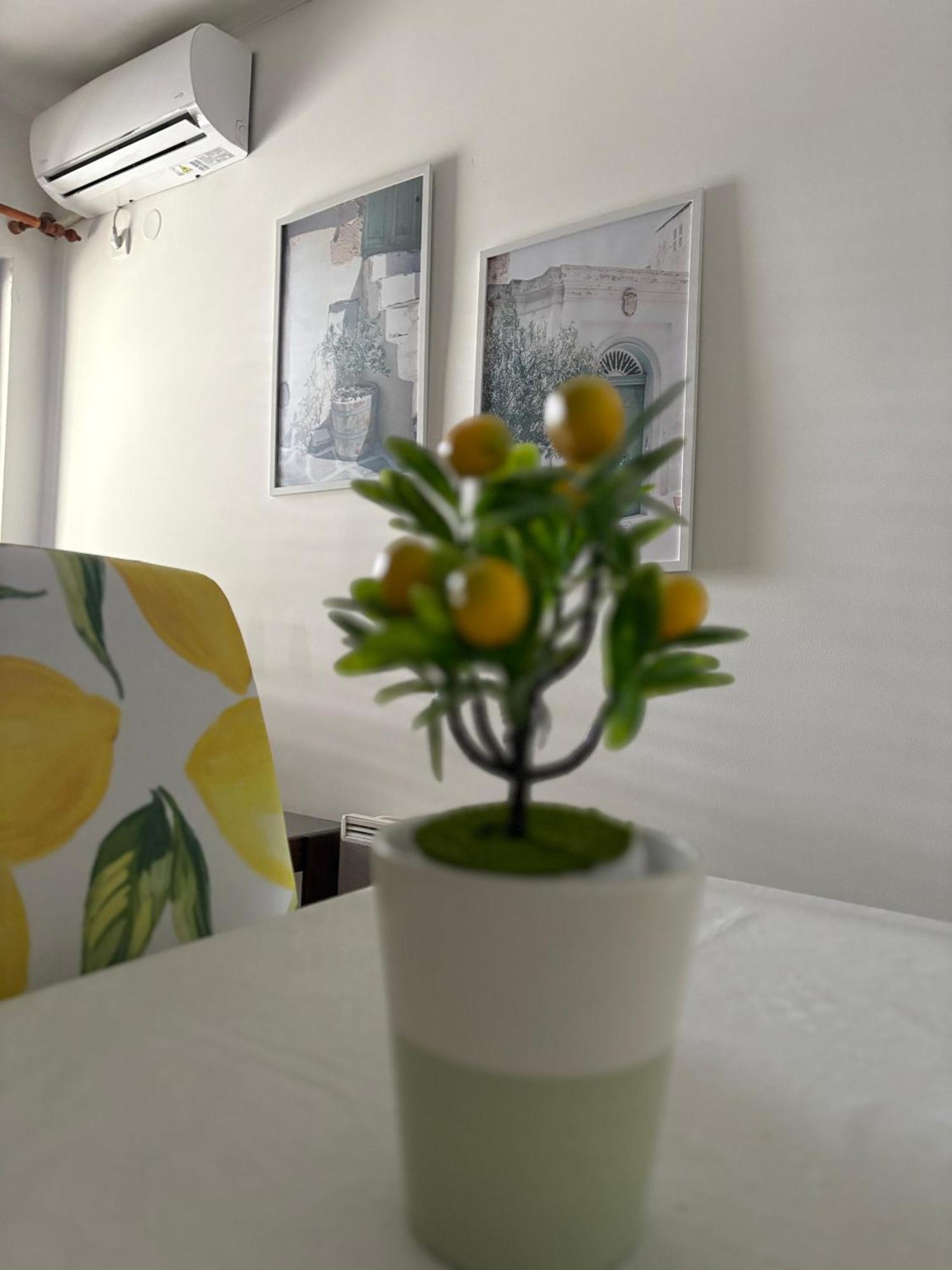 Apartments 헤르섹 객실 사진